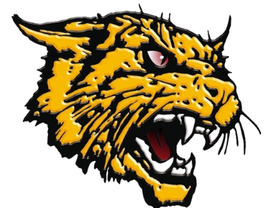 Leduc & District Minor Football Association