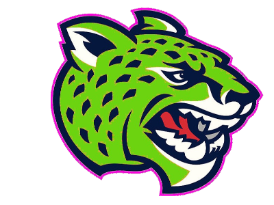Jaguars Academy Elite Inc.