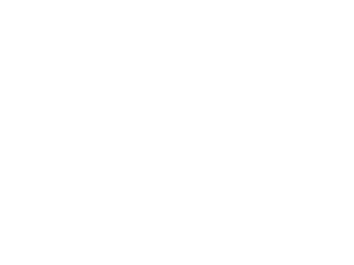 Playmaker Basketball Academy