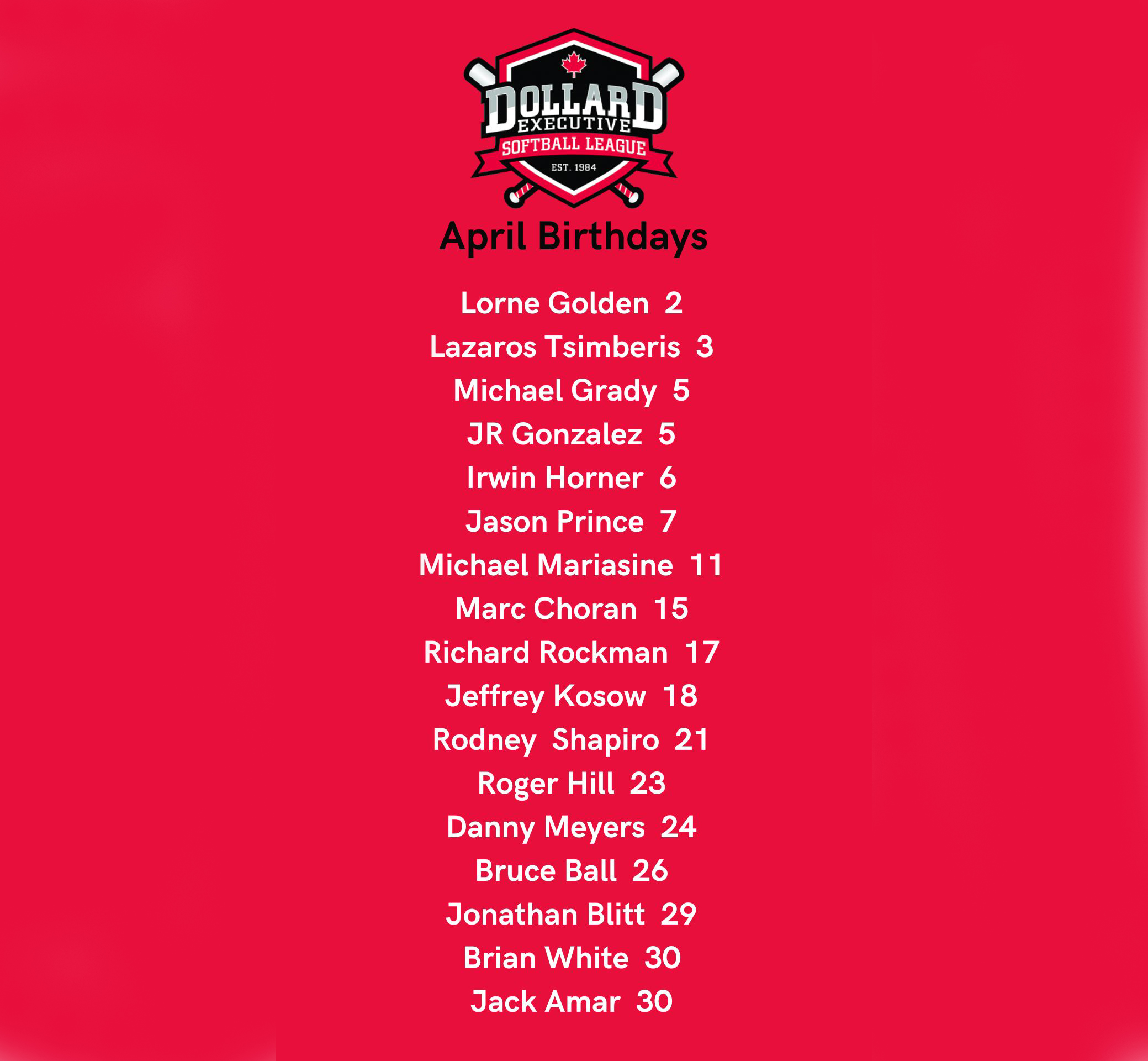 Dollard Executive Softball League Powered By TeamLinkt