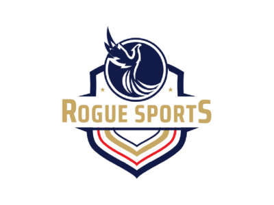 Rogue Sports : Powered by TeamLinkt
