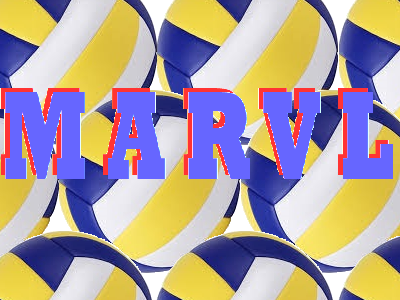 Mixed Adult Recreational Volleyball League