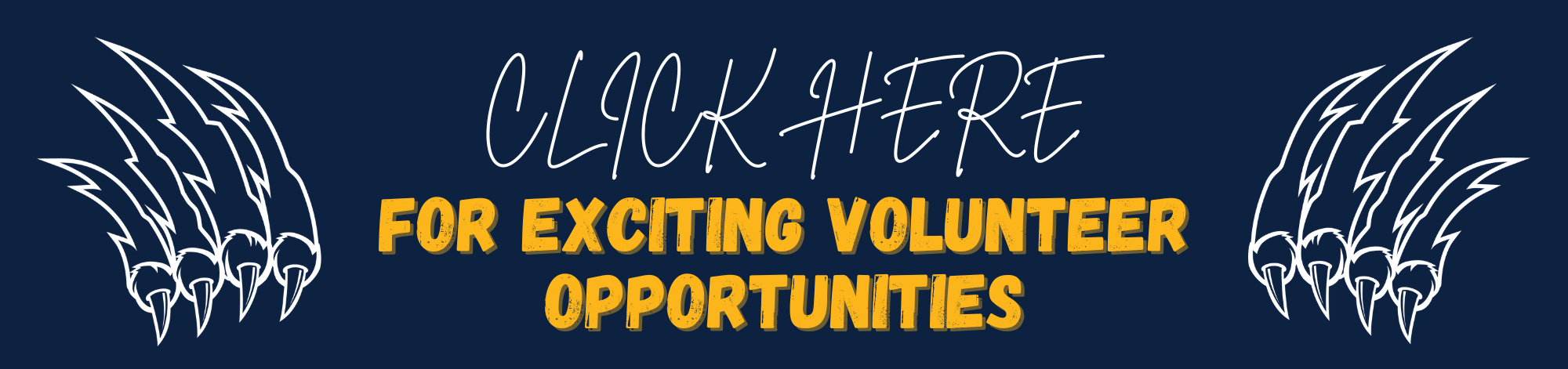 Volunteer Opportunities