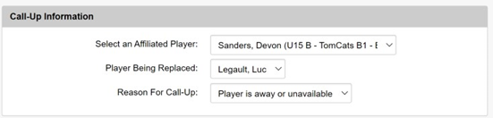Call-Up Sections Screenshot