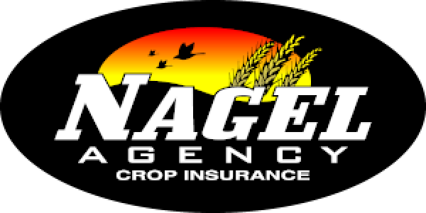 Nagel Agency