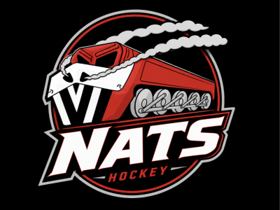 Radville Minor Hockey