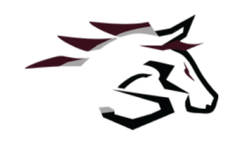 Mustangs Logo