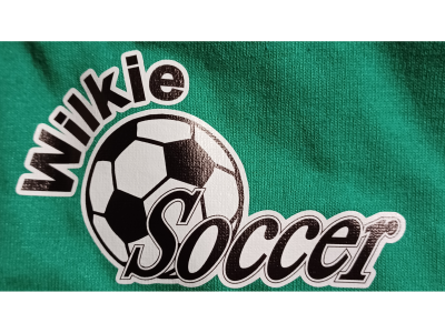 Wilkie Soccer Association