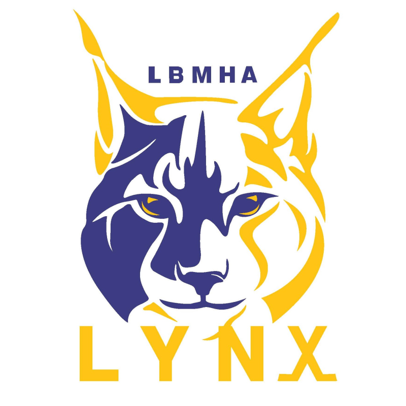 lumsden-bethune-minor-hockey-association-powered-by-teamlinkt